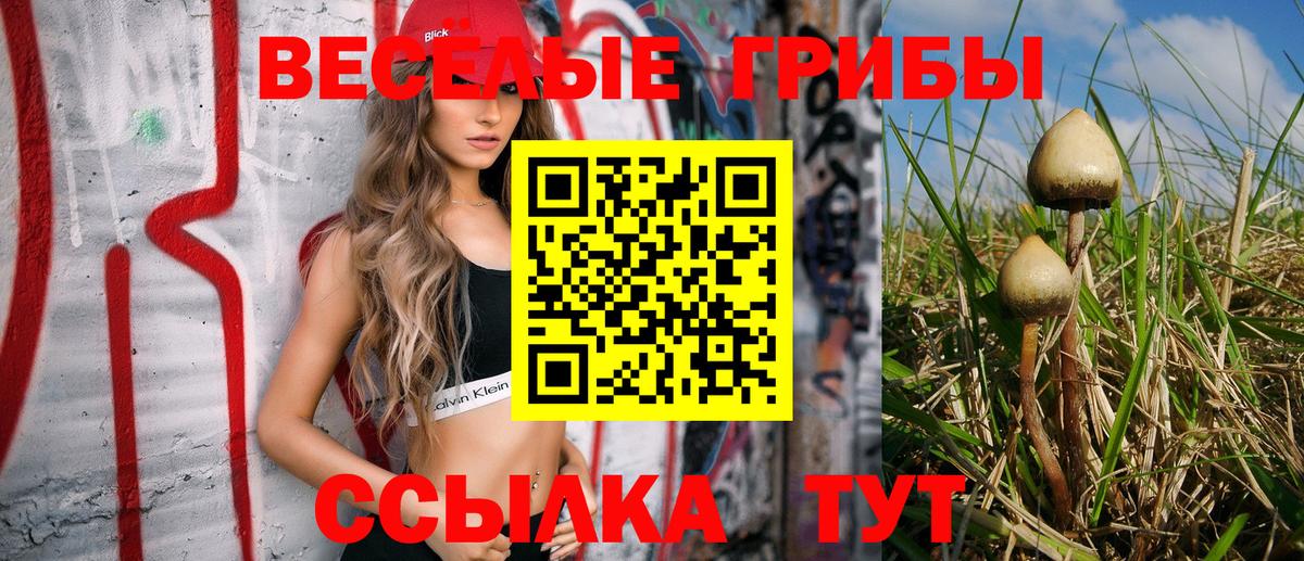 Галлюциногенные грибы Psilocybine cubensis  Галлюциногенные грибы Cubensis  Вход с VPN  Киров 