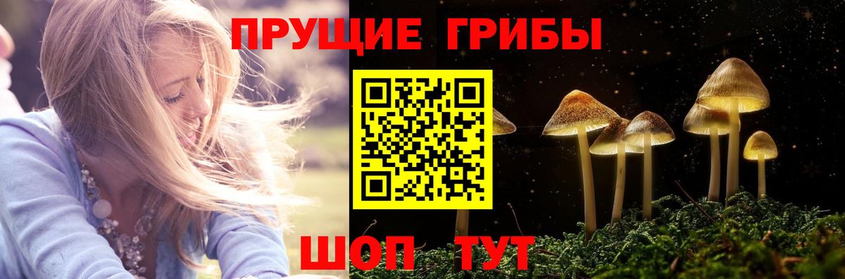 Галлюциногенные грибы прущие грибы Киров