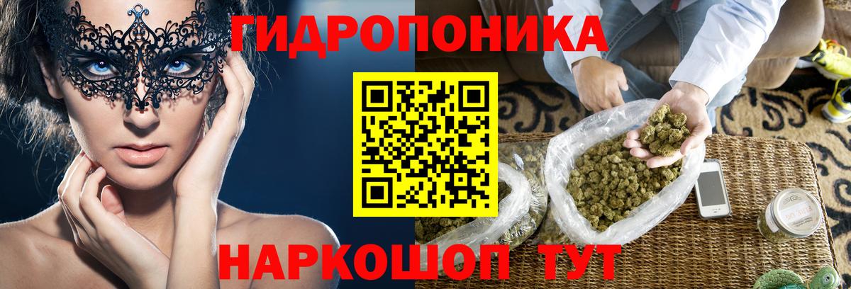 Бошки марихуана ГИДРОПОН Киров
